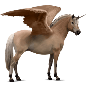 unicorno pony alato  fjord brunblakk