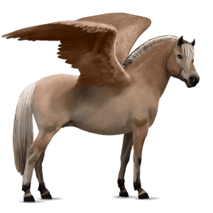 pegaso pony welsh grigio chiaro