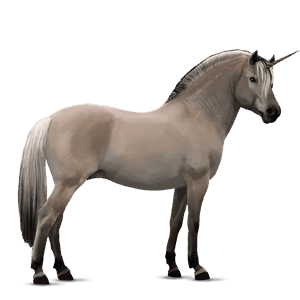 unicorno pony brunblakk