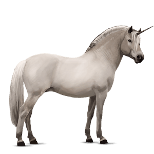 unicorno pony fjord ulsblakk