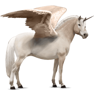 unicorno pony alato  fjord brunblakk