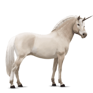unicorno pony palomino