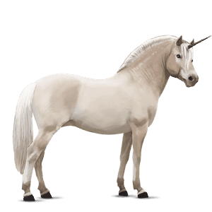 unicorno pony pony di terranova castano scuro