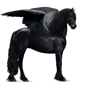 pegaso da corsa frisone nero
