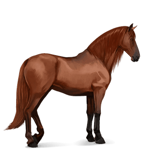 cavallo da corsa purosangue inglese castano
