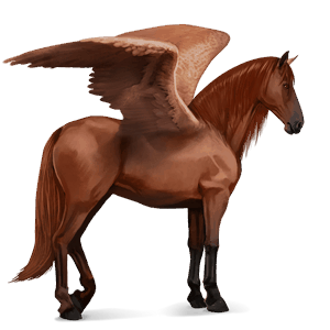 pegaso da corsa lusitano castano