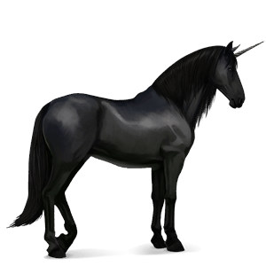 unicorno da corsa purosangue spagnolo nero