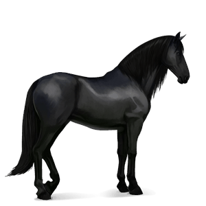 cavallo da corsa lipizzano grigio pezzato