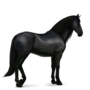 cavallo da corsa nero
