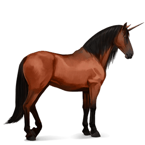 unicorno da corsa purosangue spagnolo baio rossastro