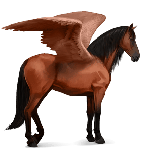 pegaso da corsa mustang baio