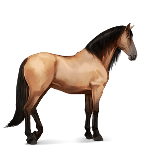 cavallo da corsa purosangue spagnolo daino