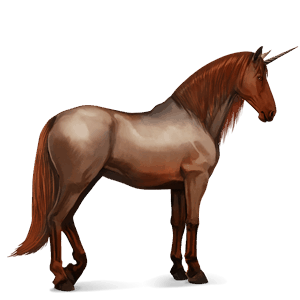 unicorno da corsa lusitano baio scuro