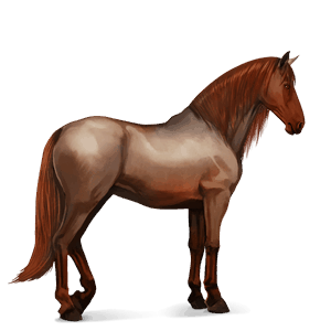 cavallo da corsa baio rossastro