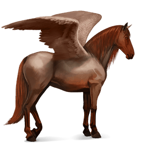 pegaso da corsa mangalarga marchador roano rosso