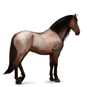 cavallo da corsa hanoverian roano