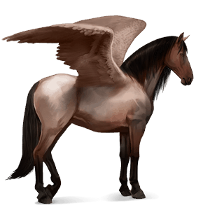 pegaso da corsa hanoverian castano scuro