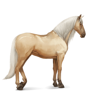 cavallo da corsa palomino