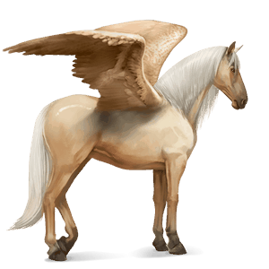 pegaso da corsa curly grigio pezzato