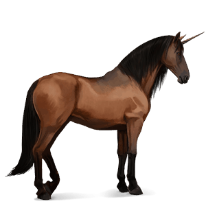 unicorno da corsa berbero baio