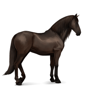 cavallo da corsa frisone nero