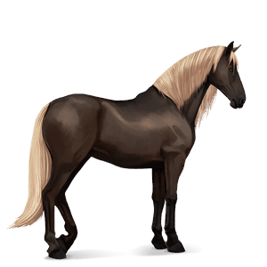 cavallo da corsa hanoverian grullo