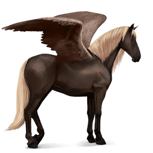pegaso da corsa akhal-teke castano