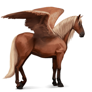 pegaso da corsa cavallo arabo baio