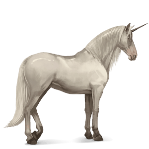 unicorno da corsa camargue nero