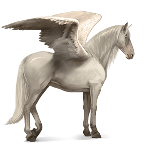 pegaso da corsa holstein baio scuro