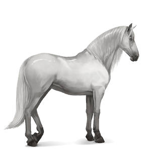 cavallo da corsa grigio chiaro