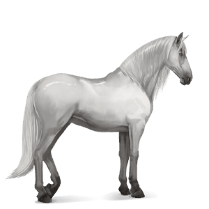 cavallo da corsa purosangue spagnolo grigio pezzato