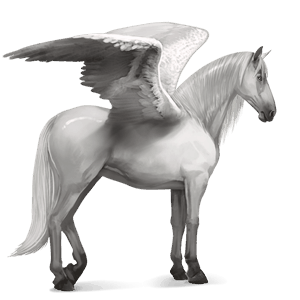 pegaso da corsa lipizzano grigio chiaro