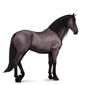 cavallo da corsa hanoverian grullo