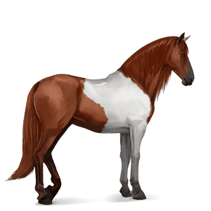 cavallo da corsa hanoverian grigio chiaro