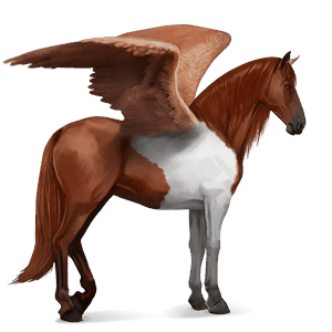 pegaso da corsa manto castano maculato
