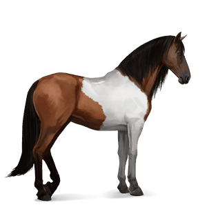 cavallo da corsa hunter irlandese grigio pezzato
