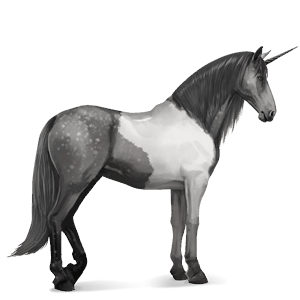 unicorno da corsa marwari grigio pezzato