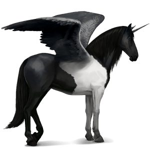 unicorno da corsa alato nero
