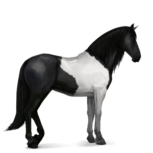 cavallo da corsa purosangue inglese roano rosso