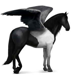 pegaso da corsa lusitano castano scuro