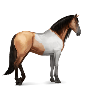 cavallo da corsa purosangue spagnolo grigio pezzato