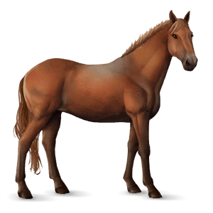 cavallo da corsa hanoverian castano
