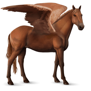 pegaso da corsa hanoverian castano