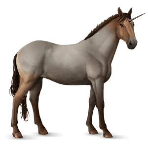 unicorno da corsa roano