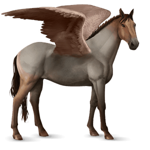 pegaso da corsa mustang daino