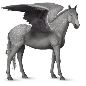pegaso da corsa hanoverian grullo