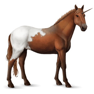 unicorno da corsa overo pinto castano