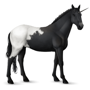unicorno da corsa nero
