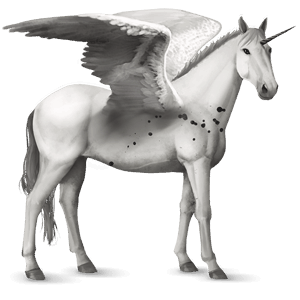 unicorno da corsa alato leopard nero